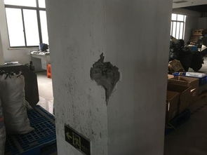 朝陽(yáng)區(qū)房屋安全檢測(cè)鑒定單位 專業(yè)機(jī)構(gòu)保障居民家居安全